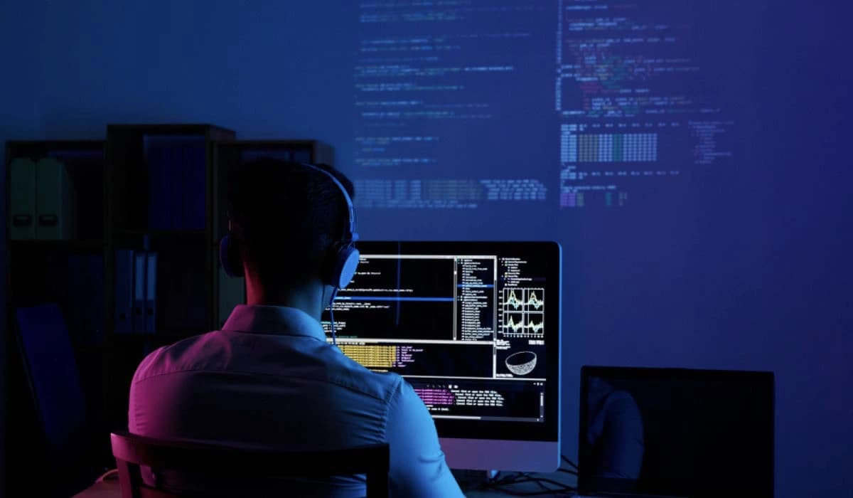 custom web development services